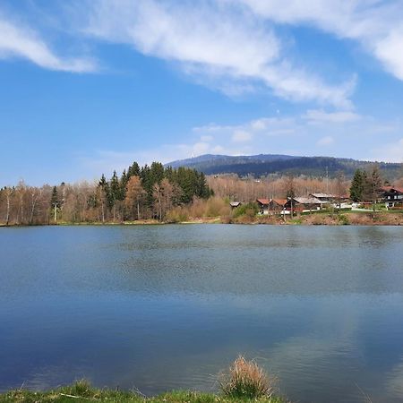 Fewo Bayerischer Wald Im Lamer Winkel Arrach Exterior photo