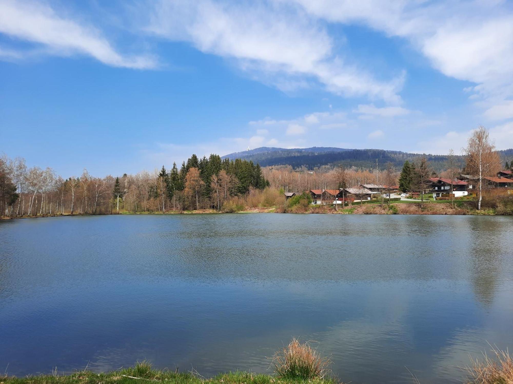 Fewo Bayerischer Wald Im Lamer Winkel Arrach Exterior photo